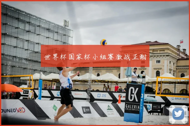 世界杯国家杯小组赛激战正酣