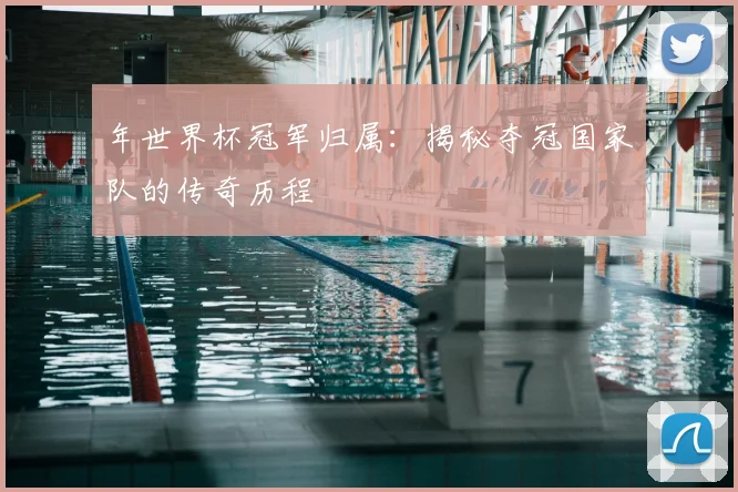 年世界杯冠军归属：揭秘夺冠国家队的传奇历程