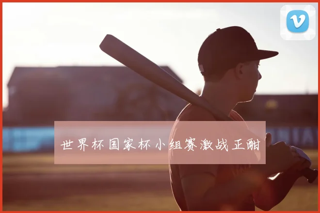 世界杯国家杯小组赛激战正酣