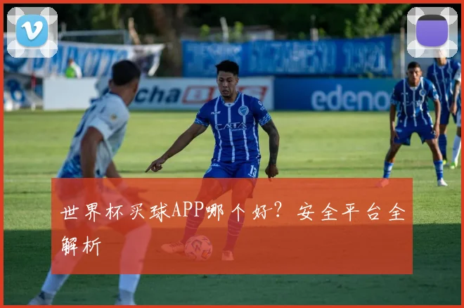 世界杯买球APP哪个好？安全平台全解析