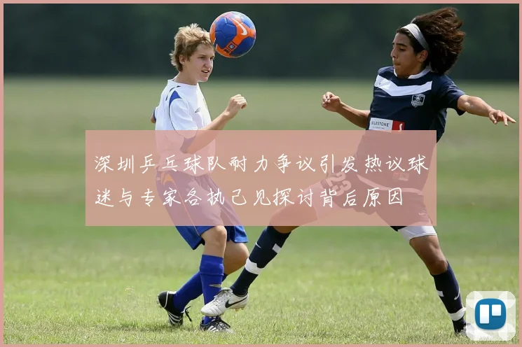 深圳乒乓球队耐力争议引发热议球迷与专家各执己见探讨背后原因