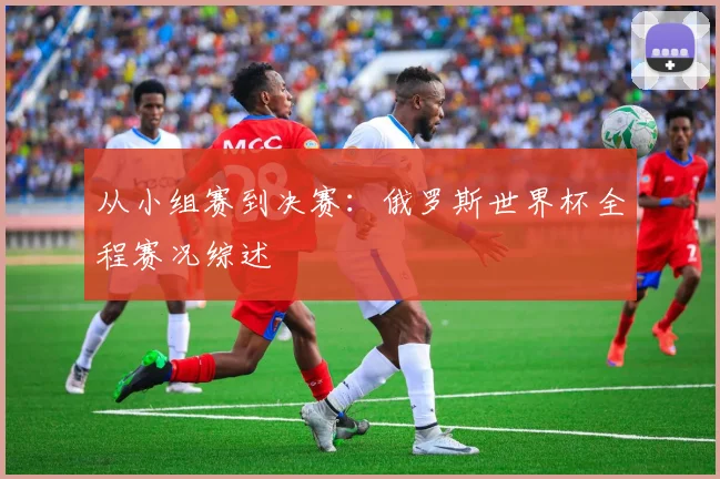从小组赛到决赛:俄罗斯世界杯全程赛况综述