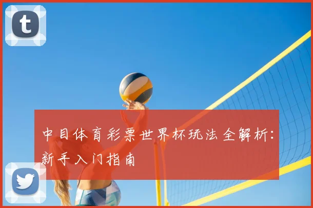 中目体育彩票世界杯玩法全解析：新手入门指南
