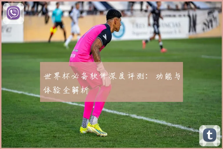 世界杯必备软件深度评测：功能与体验全解析