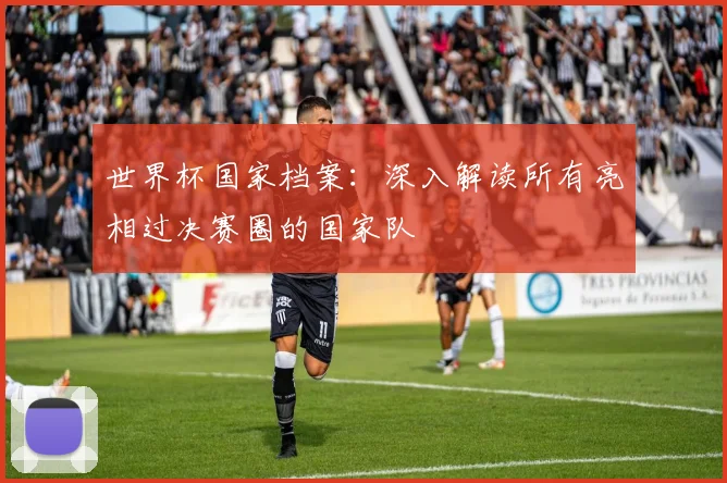 世界杯国家档案：深入解读所有亮相过决赛圈的国家队