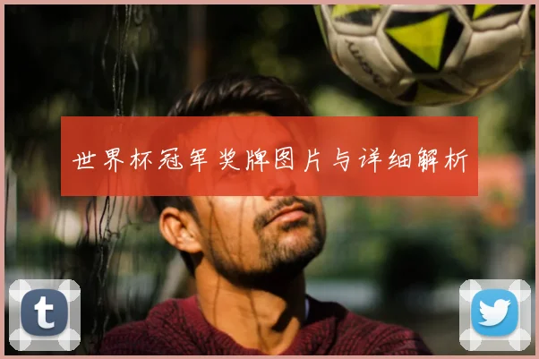 世界杯冠军奖牌图片与详细解析