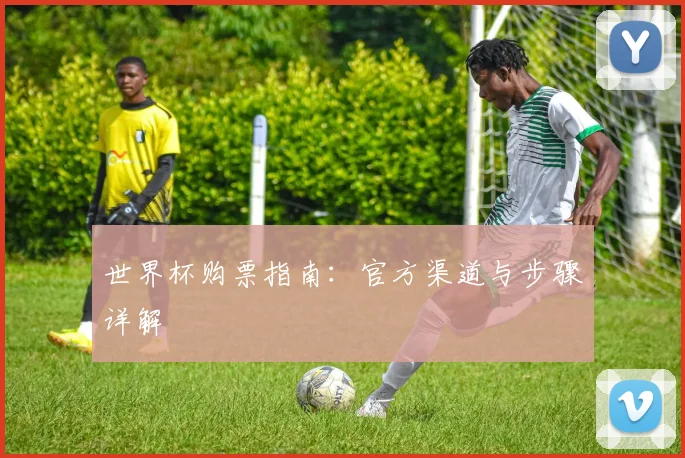 世界杯购票指南：官方渠道与步骤详解
